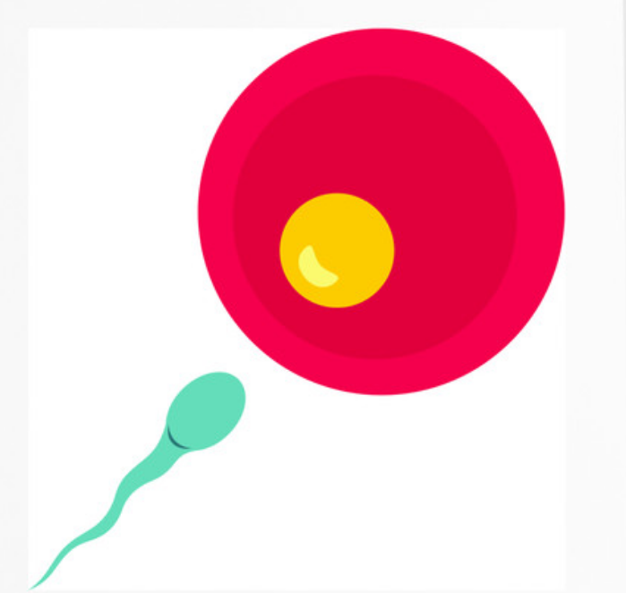 试管供卵与母亲有血缘关系吗&供卵自怀会有排异吗,2023年4月11日出生的女孩好听