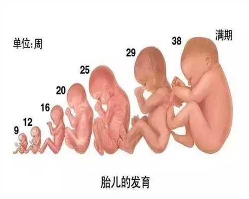 代孕保健注意好肯定生个胖宝宝_广州助孕包性别