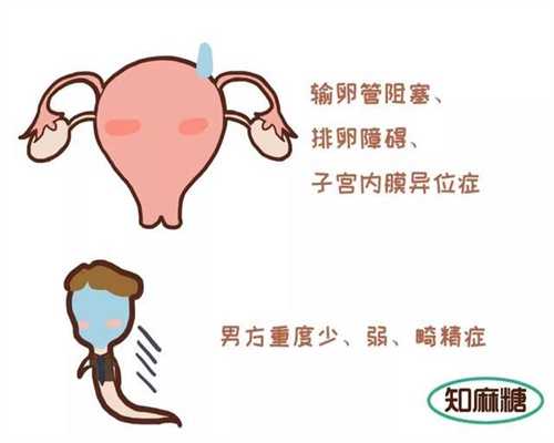 广州哪里有试管婴儿代孕_广州哪家代孕信誉最好_孕妇手腕骨头疼怎么办