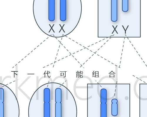 2026长沙哪家医院做供卵试管不用排队-附供卵试管排队时长揭秘 