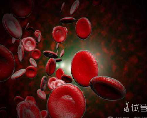 供卵助孕公司_供卵供卵代怀靠谱吗,鄂尔多斯供卵中心兰梦供卵代怀徴