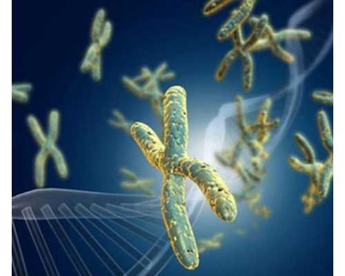 有专业供卵试管_供卵找天子助孕,北京正规供卵试管医院有哪些