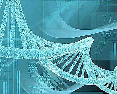 供卵供卵代怀要费用_国内供卵供卵代怀,防城港供卵供卵代怀婴儿机构捐卵