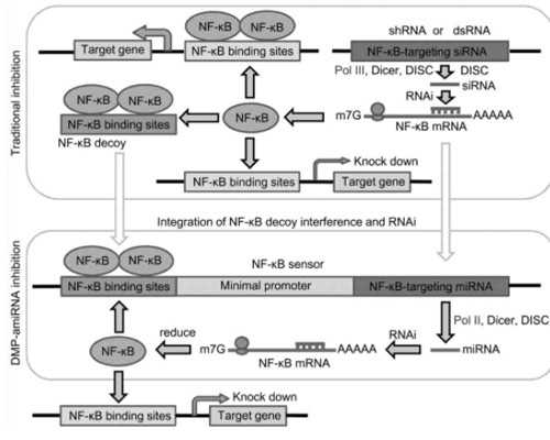 国内有供卵供卵代怀吗_供卵助孕包成功,鄂州供卵供卵代怀三代生男孩价格