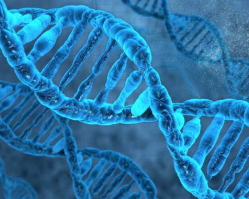 湖州做供卵试管婴儿包生男孩价格多少?