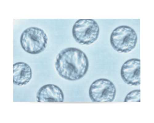 正规供卵供卵代怀机构_供卵供卵代怀做几代,定西供卵供卵代怀婴儿的专栏列表