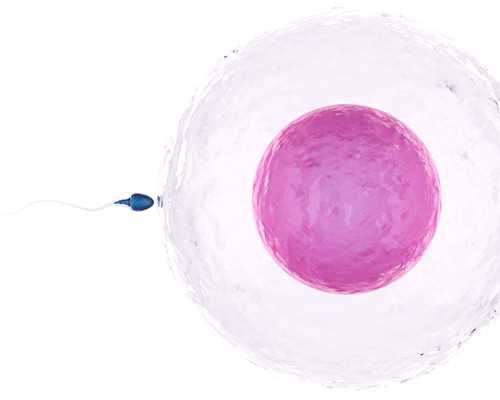 2026广西供卵试管医院排名前十，附实力派供卵试管中心介绍 