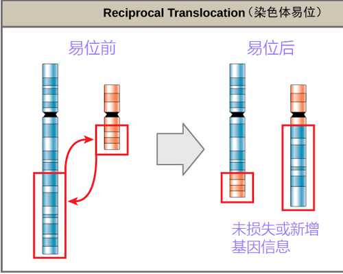 供卵正规医院_高龄供卵试管,北京供卵试管中介成功率高吗