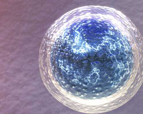 捐卵试管_国内借卵试管,北京医院试管婴儿费用做试管流程有哪些