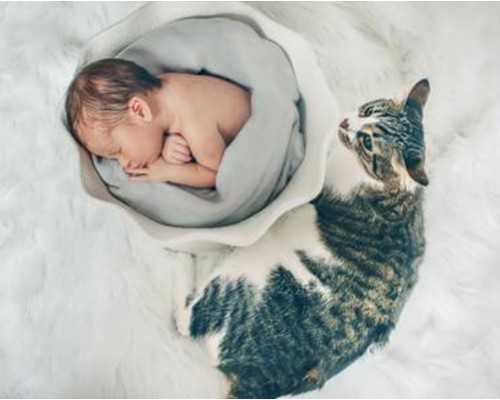 家恩德运供卵_供卵女孩,威海三代试管供卵包成功