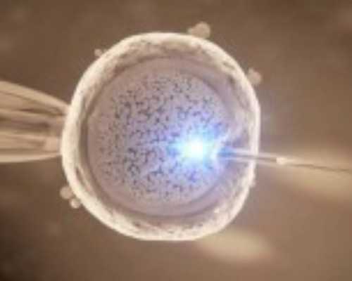 供卵孩子的健康_供卵生殖中心,台湾新竹市国泰供卵试管吗