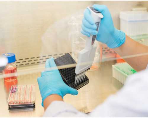 试管婴儿供卵供_供卵中心官网,新疆供卵第三代试管婴儿不排队的医院有哪些？